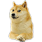 Chó :cho: :cho: