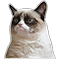 :meo: